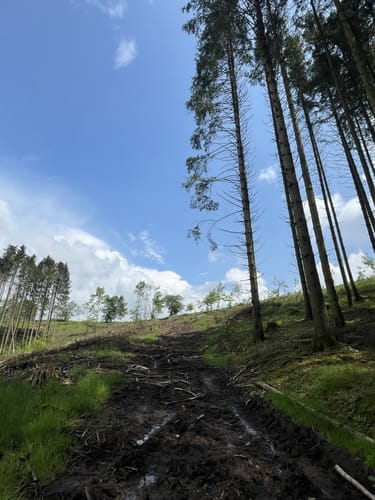 Prümer Land Tour Route 4 - Bergbaupfad Bleialf