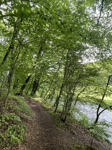 Prümer Land Tour Route 4 - Bergbaupfad Bleialf