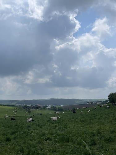 Prümer Land Tour Route 4 - Bergbaupfad Bleialf