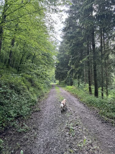 Rund um Dasburg