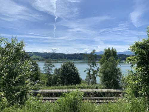 Simssee Rundweg von Schwabering