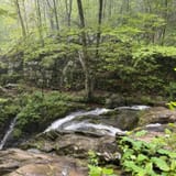 Dark Hollow Falls Trail Virginia - EyJidWNrZXQiOiJhc3NldHMuYWxsdHJhaWxzLmNvbSIsImtleSI6InVwbG9hZHMvcGhvdG8vaW1hZ2UvNzQ4Njc5MzYvOTBkZTk4YWU0ZWQ5NjBkYTYzNWNjMzViNTc4YzBlMzguanBnIiwiZWRpdHMiOnsidG9Gb3JtYXQiOiJqcGVnIiwicmVzaXplIjp7IndpZHRoIjoxNjAsImhlaWdodCI6MTYwLCJmaXQiOiJjb3ZlciJ9LCJyb3RhdGUiOm51bGwsImpwZWciOnsidHJlbGxpc1F1YW50aXNhdGlvbiI6dHJ1ZSwib3ZlcnNob290RGVyaW5naW5nIjp0cnVlLCJvcHRpbWlzZVNjYW5zIjp0cnVlLCJxdWFudGlzYXRpb25UYWJsZSI6M319fQ==