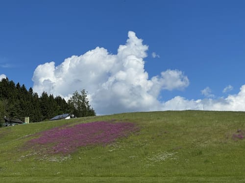 Rundweg durch die Hölle