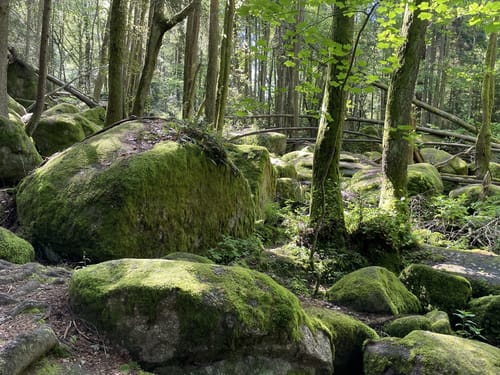 Rundweg durch die Hölle