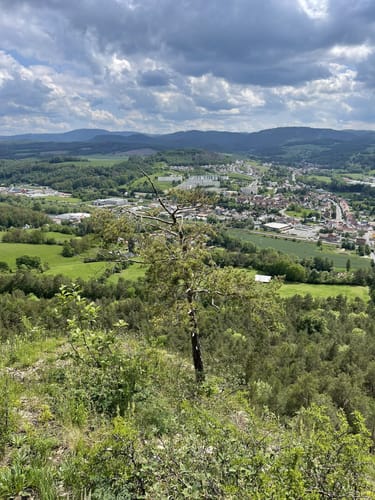 Um den Kleinen Hörselberg