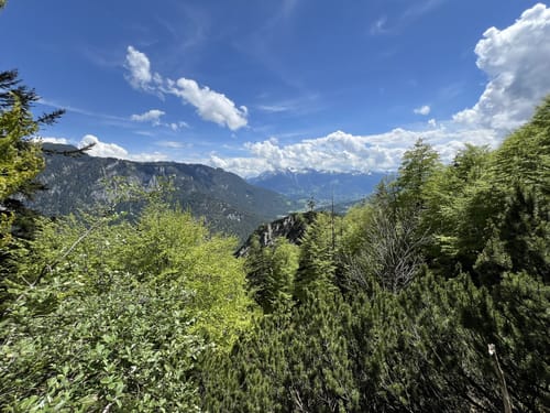 Zur Steinernen Agnes