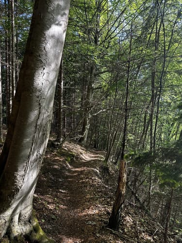 Lech-Höhenweg (Fernwanderweg)