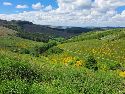 Rundwanderweg bei Endorf