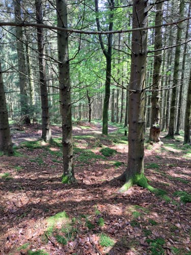 Rundwanderweg bei Endorf