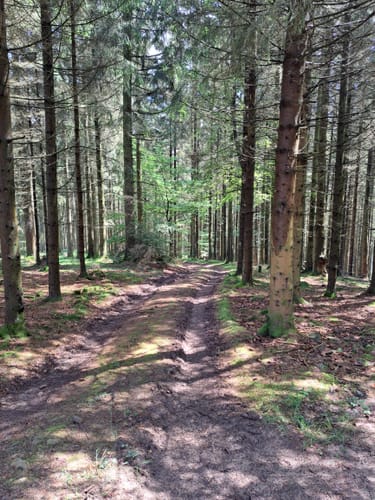 Rundwanderweg bei Endorf
