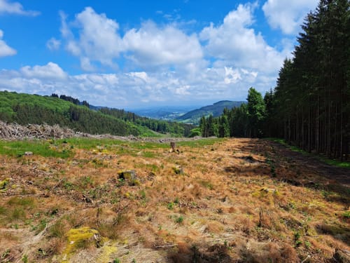 Rundwanderweg bei Endorf
