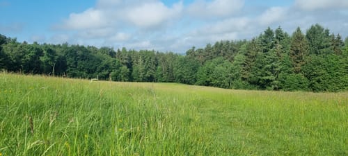 Spessartbogen Etappe 1: Langenselbold - Horbach