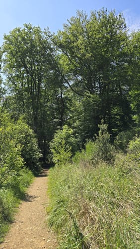 Geistinger Wald Rundweg