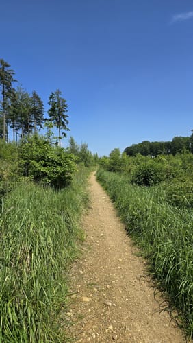 Geistinger Wald Rundweg