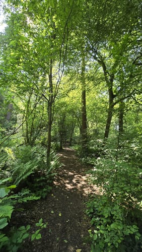 Geistinger Wald Rundweg