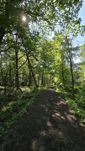 Geistinger Wald Rundweg