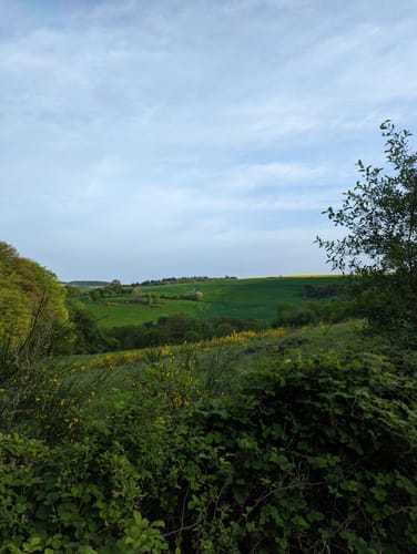 Zum Fallen Berg ab Steinbach am Glan