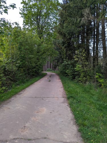 Zum Fallen Berg ab Steinbach am Glan