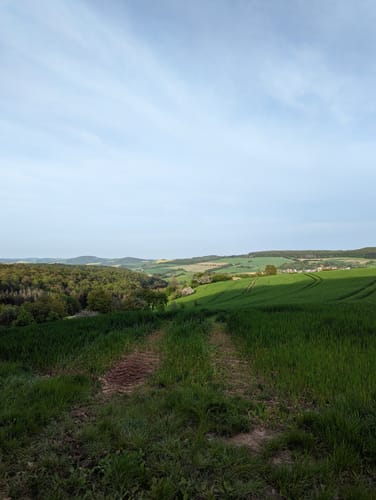 Zum Fallen Berg ab Steinbach am Glan