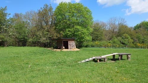 Virne-Burgweg (Traumpfad)