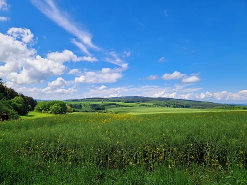 Butzel-Kewes-Weg (Traumschleifchen)