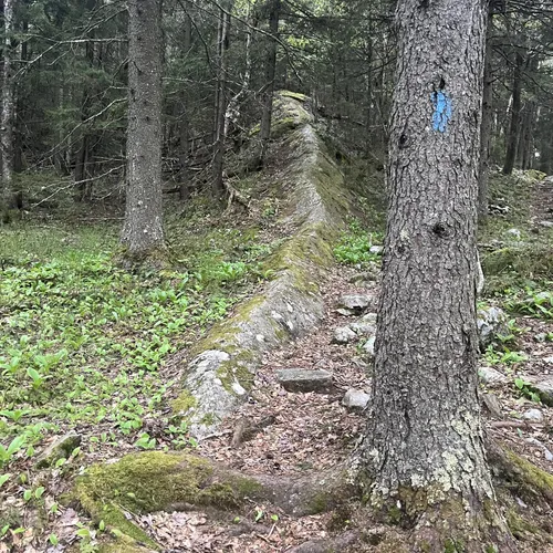 Best Backpacking Trails in Danby AllTrails