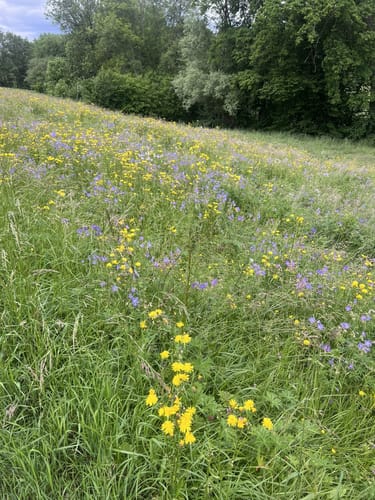 Bonlanden und Bombach Rundweg
