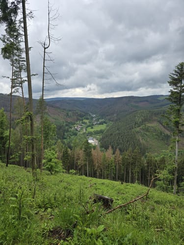 MTB: Oberweißbacher Bergbahn