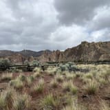 Rim Rock Trail, Oregon - 284 Reviews, Map | AllTrails