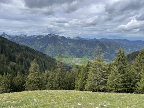 Wallberg