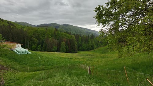 Wolftristkopf und Erdmannshöhle