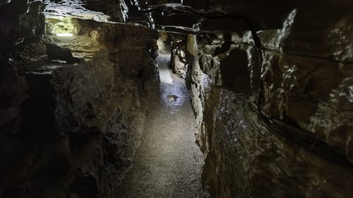 Wolftristkopf und Erdmannshöhle