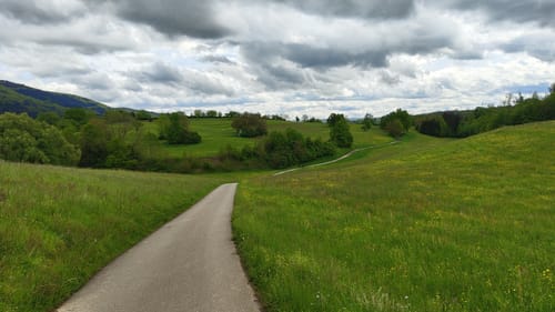 Wolftristkopf und Erdmannshöhle