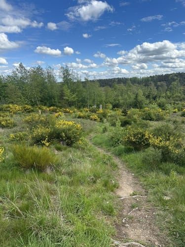 GEO-Route Vinxbachtaler ab Königsfeld