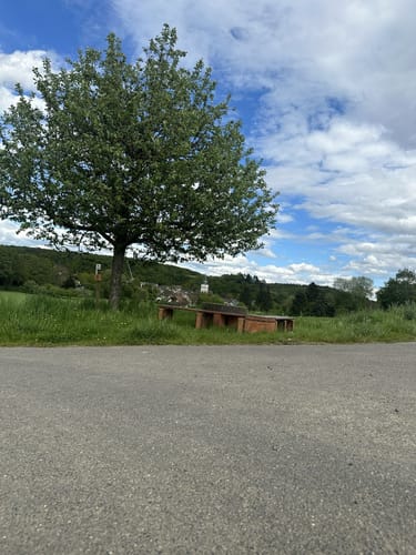 GEO-Route Vinxbachtaler ab Königsfeld