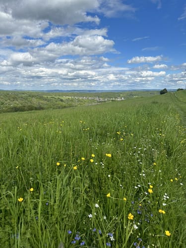 GEO-Route Vinxbachtaler ab Königsfeld