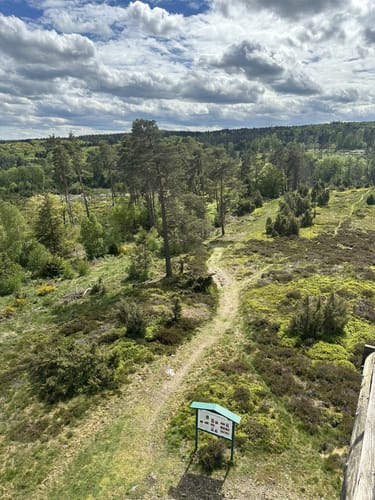 GEO-Route Vinxbachtaler ab Königsfeld