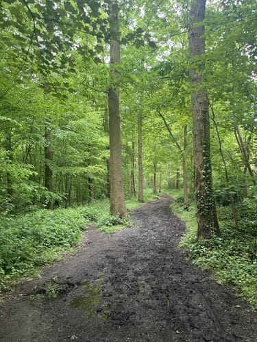Zum Schlösschen Borghees