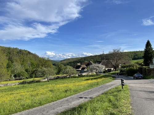Bebenhausen - Goldersbachtal - Wildgehege