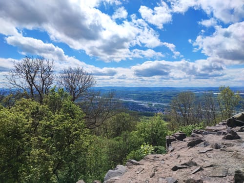 Traumhafte Siebengebirgsrunde mit Löwenburg und Drachenfels