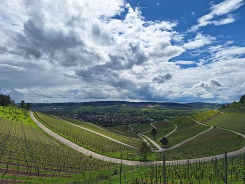 MTB-Tour: Rund um Erlabrunn