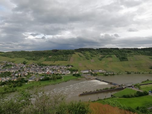 MTB Tour: Wintrich - Mülheim an der Mosel - Minheim