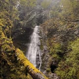 Explorer Falls, Washington - 707 Reviews, Map | AllTrails