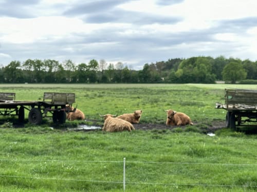 Feldrunde Nienwohlde