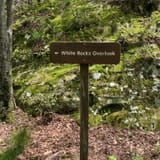 Sand Cave and White Rocks via Ewing Trail, Virginia - 1,190 Reviews ...