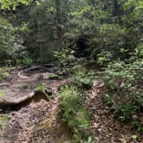 Sand Cave and White Rocks via Ewing Trail, Virginia - 1,190 Reviews ...