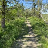 Dozer Cut, Bunker Hill, and Badger Ridge Trail Loop [CLOSED], Iowa ...