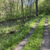 Dozer Cut, Bunker Hill, and Badger Ridge Trail Loop [CLOSED], Iowa ...