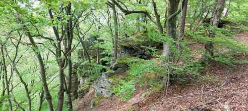 Prümzurlay (Naturpark Südeifel Wanderweg Nr. 64)