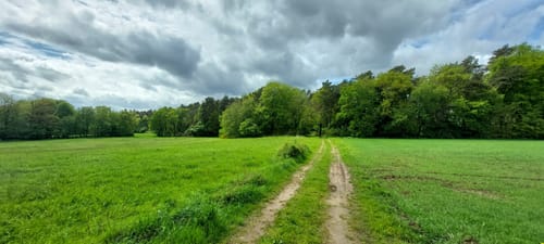 Prümzurlay (Naturpark Südeifel Wanderweg Nr. 64)